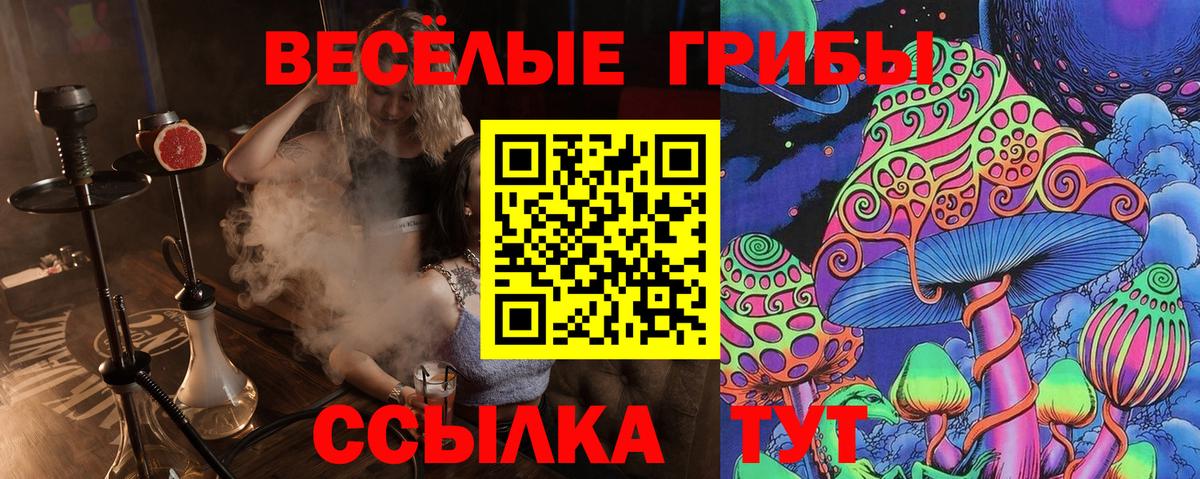 Галлюциногенные грибы Cubensis Апатиты
